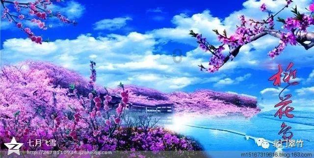 新春走基层丨巧手剪出幸福花